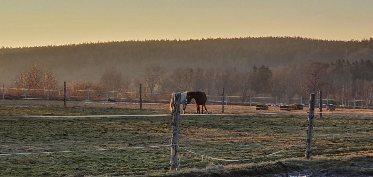 Apartizer Swieradow Zdroj Pobiedna Exteriér fotografie