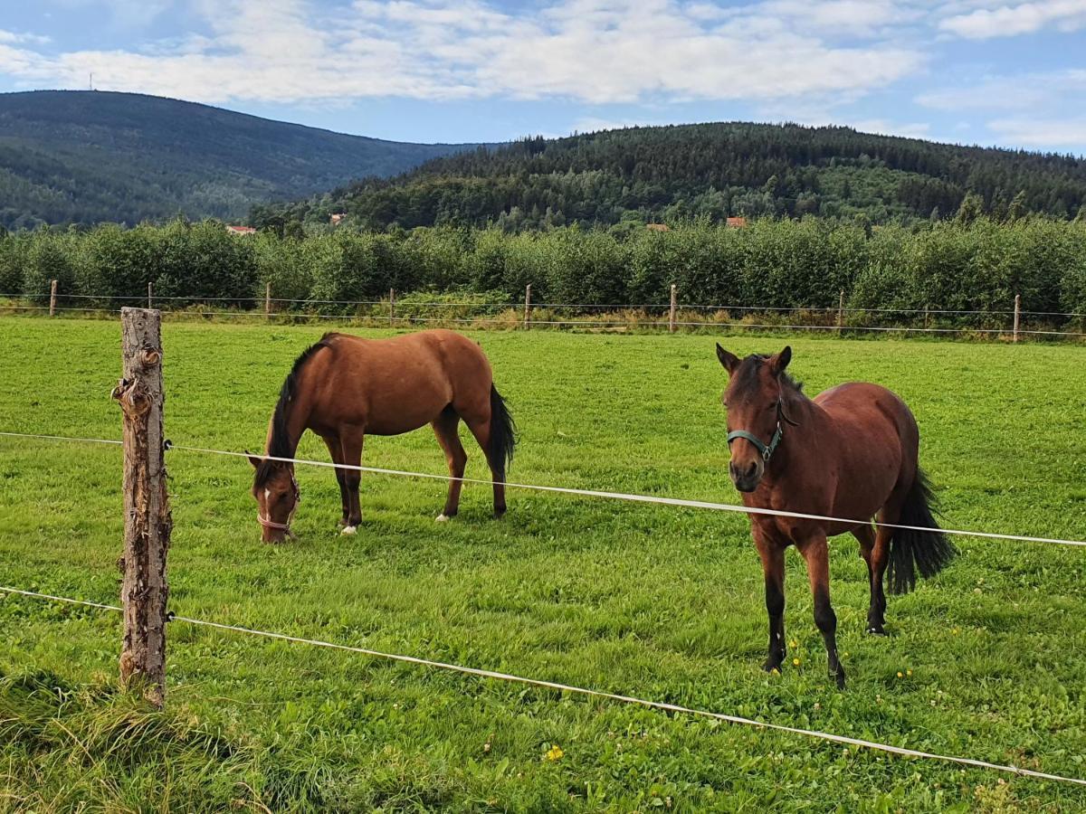 Apartizer Swieradow Zdroj Pobiedna Exteriér fotografie